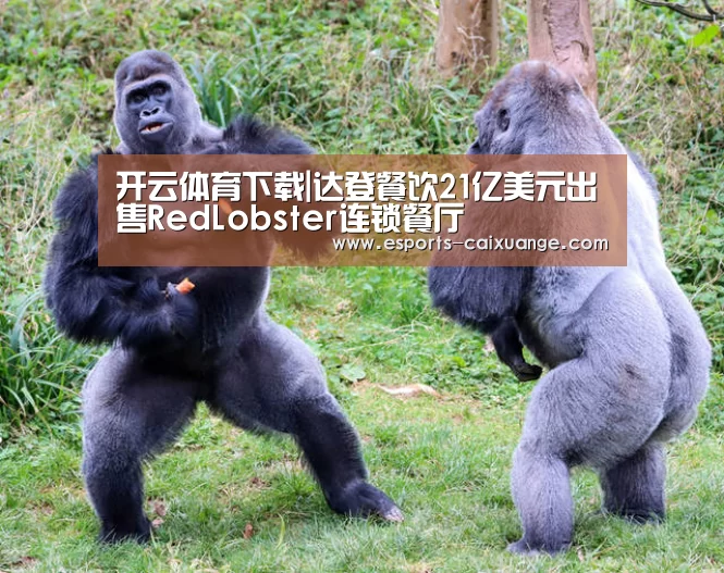 开云体育下载|达登餐饮21亿美元出售RedLobster连锁餐厅(图1) 开云体育下载