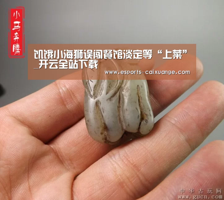 开云体育下载