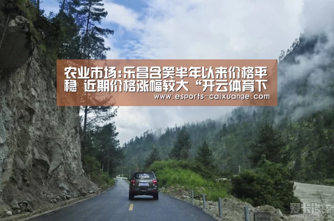 农业市场:乐昌含笑半年以来价格平稳 近期价格涨幅较大“开云体育下载”(图3) 开云移动端
