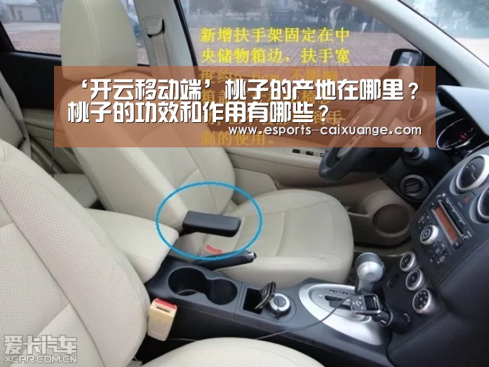 ‘开云移动端’桃子的产地在哪里?桃子的功效和作用有哪些?(图1) 开云体育下载