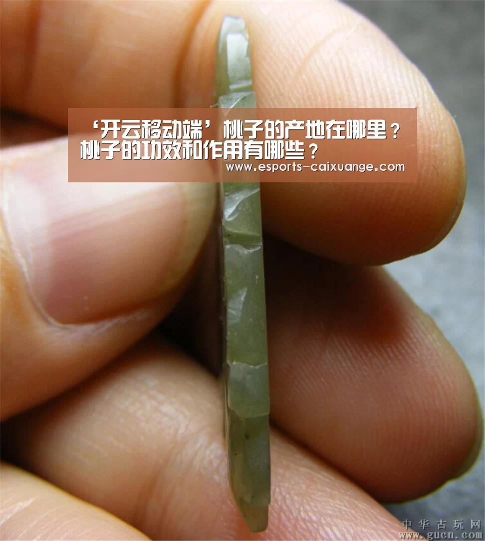 ‘开云移动端’桃子的产地在哪里?桃子的功效和作用有哪些?(图3) 开云移动端