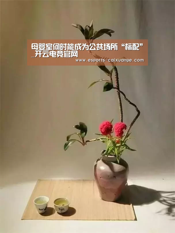 开云电竞官网