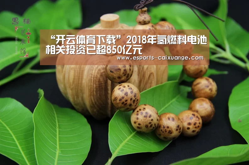 “开云体育下载”2018年氢燃料电池相关投资已超850亿元(图2) 开云电竞官网