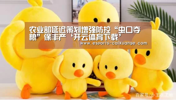 开云移动端