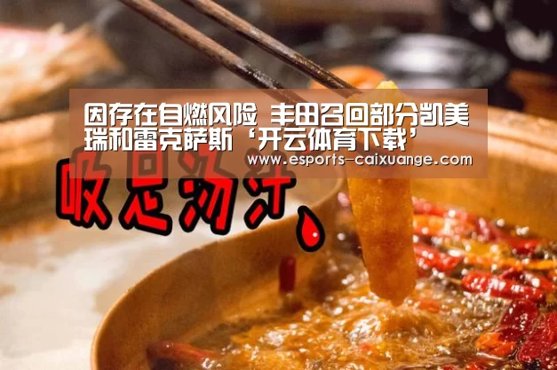 因存在自燃风险 丰田召回部分凯美瑞和雷克萨斯‘开云体育下载’(图4) 开云移动端