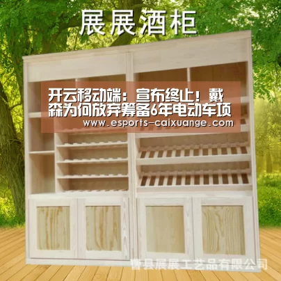 开云移动端:宣布终止!戴森为何放弃筹备6年电动车项目?(图2) 开云电竞官网