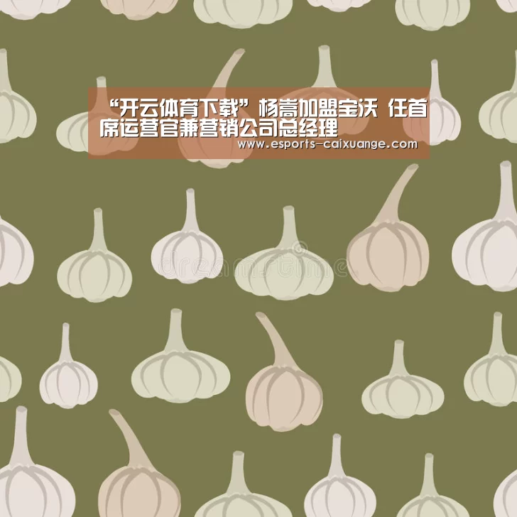 “开云体育下载”杨嵩加盟宝沃 任首席运营官兼营销公司总经理(图1) 开云体育下载