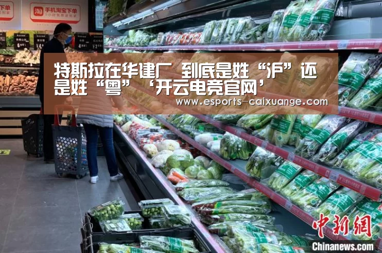 特斯拉在华建厂 到底是姓“沪”还是姓“粤”‘开云电竞官网’(图2) 开云移动端