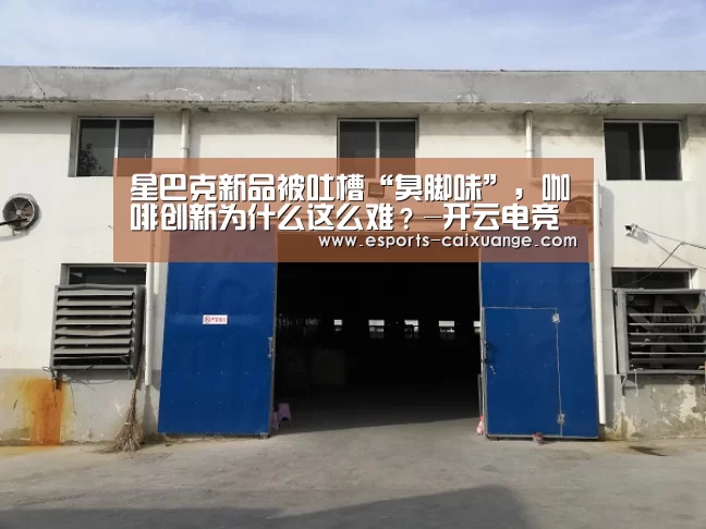 开云体育下载