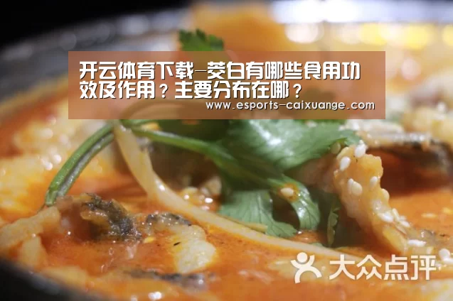 开云体育下载-茭白有哪些食用功效及作用?主要分布在哪?(图4) 开云全站下载