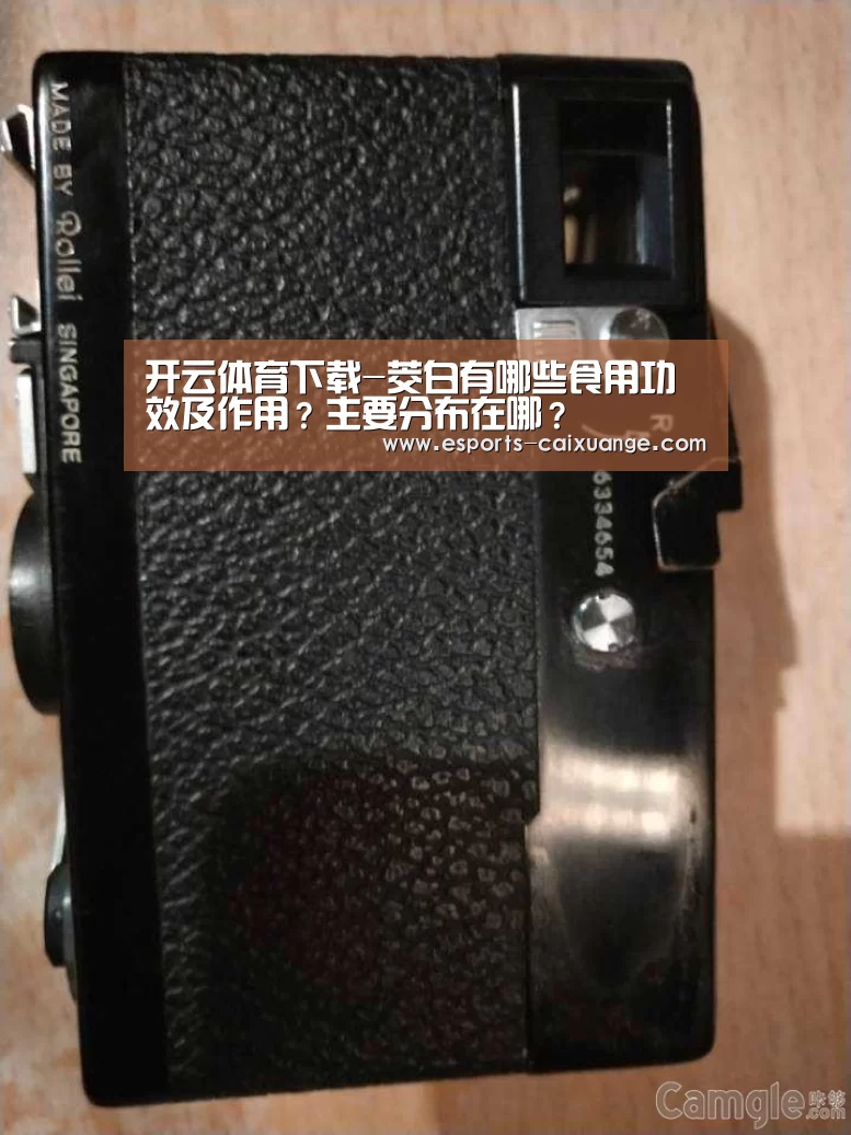 开云体育下载-茭白有哪些食用功效及作用?主要分布在哪?(图3) 开云全站下载