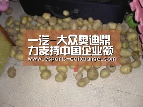 一汽-大众奥迪鼎力支持中国企业领袖年会_开云全站下载(图1) 开云移动端