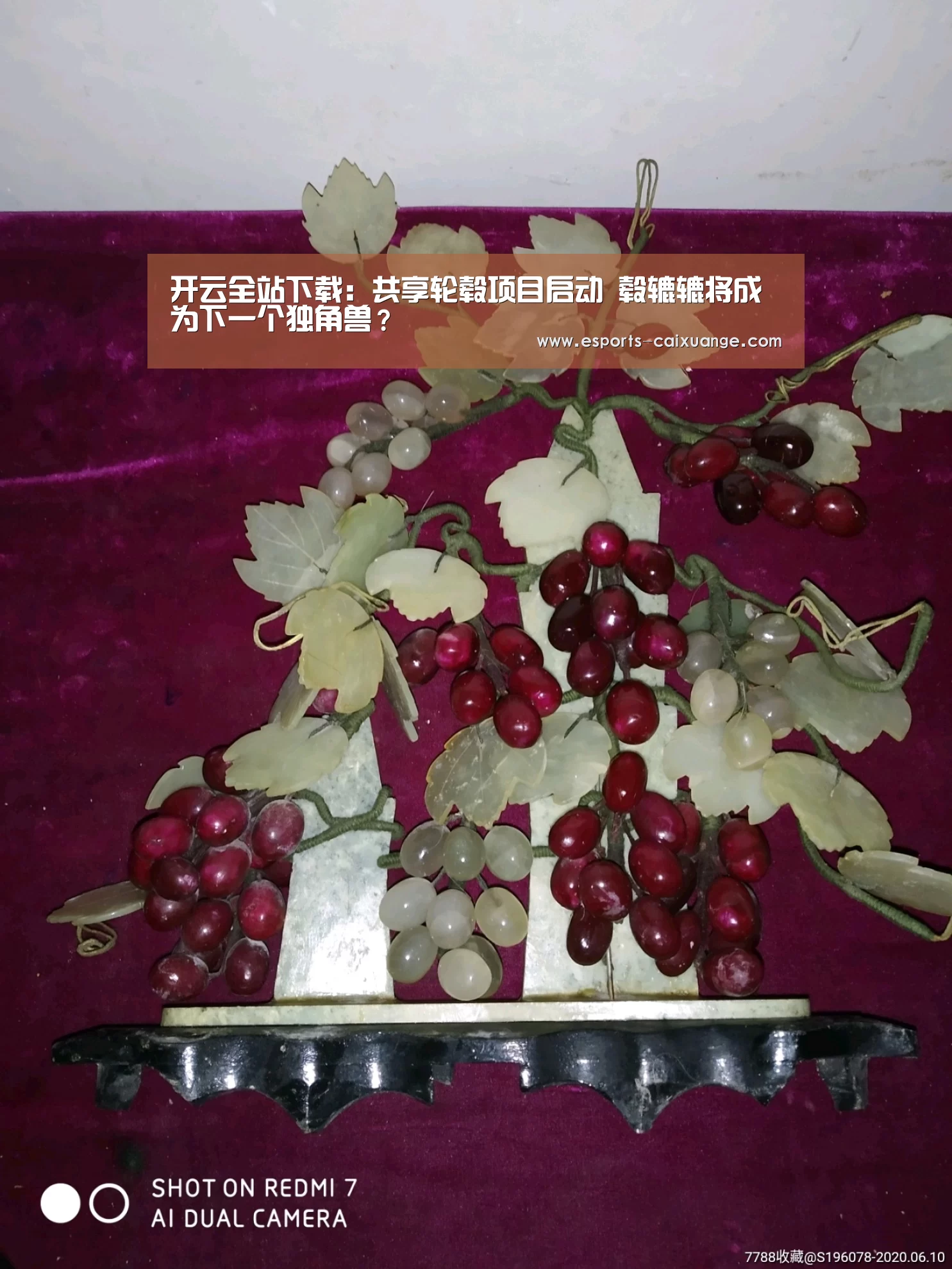 开云电竞官网