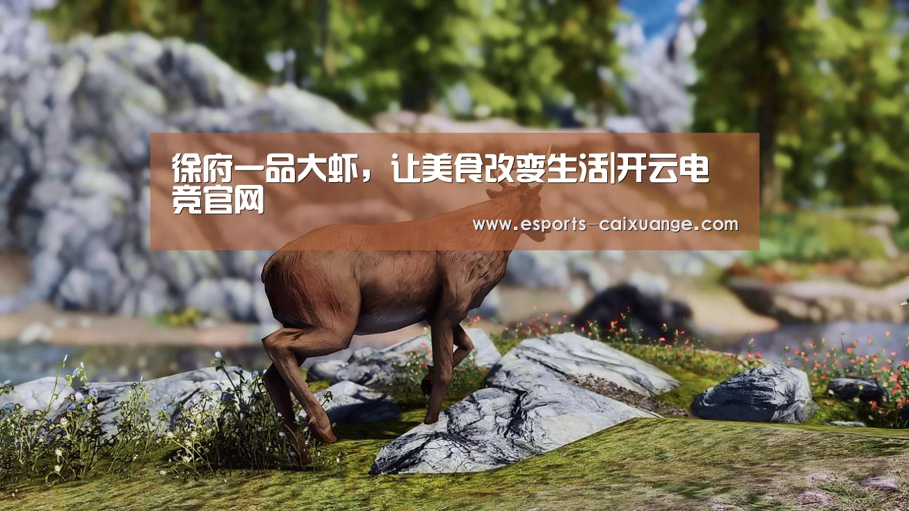 开云体育下载