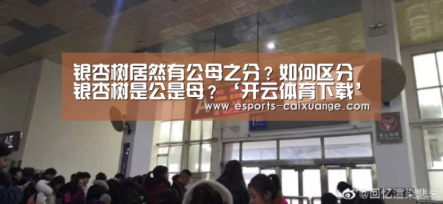 开云移动端