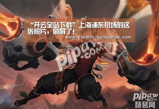 “开云全站下载”上海浦东机场的这张照片，刷屏了！