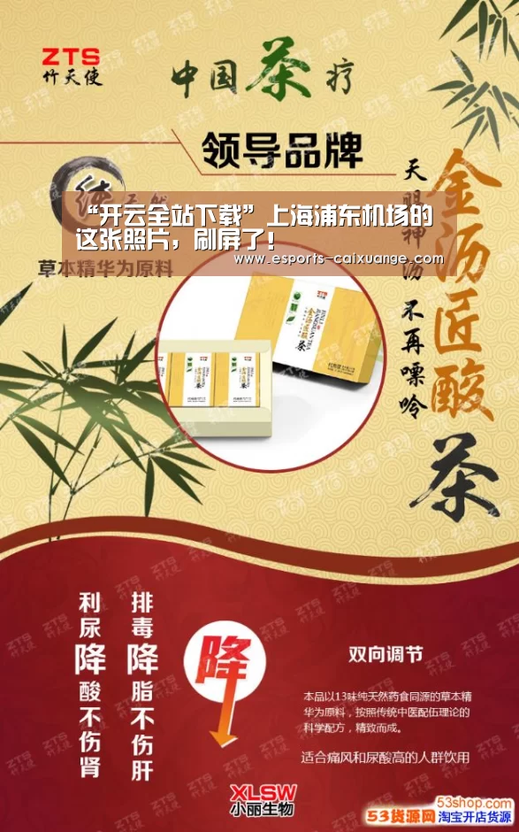 开云移动端